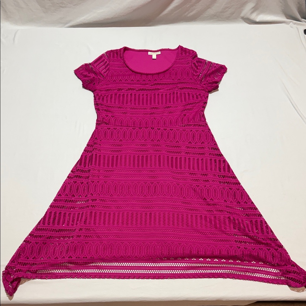 Dana Buchman Women’s Fuchsia Crochet Fit & Flare Dress Size L